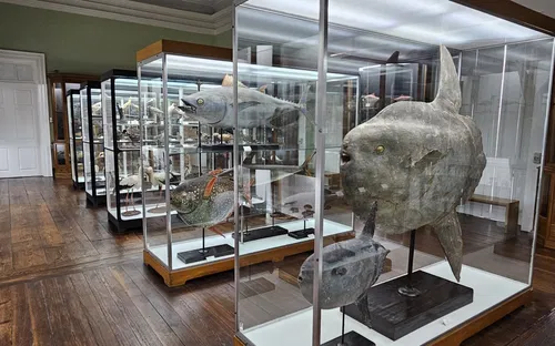 Natural History Museum