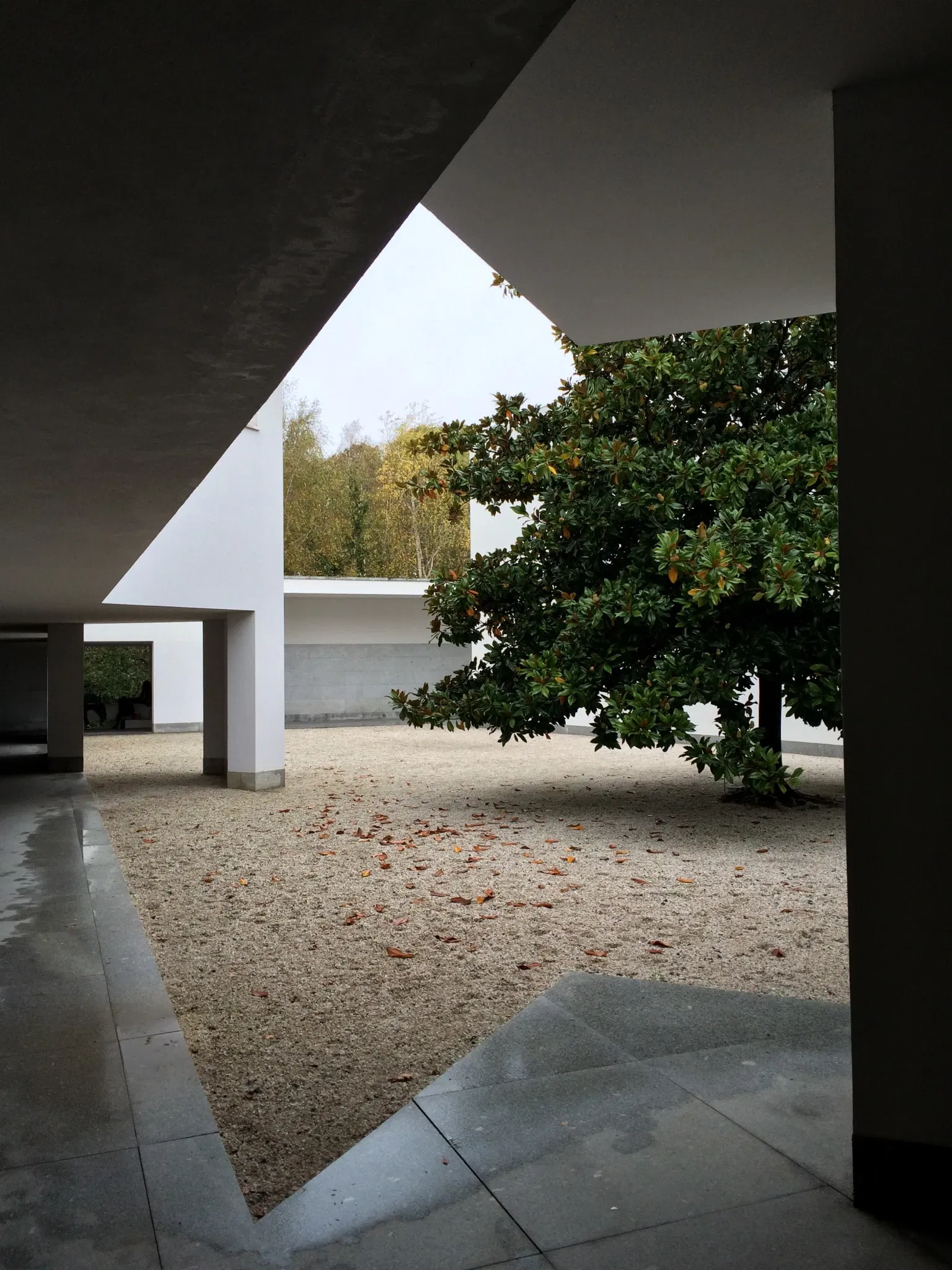Serralves Foundation