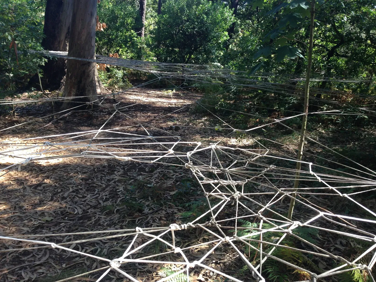 Serralves Foundation