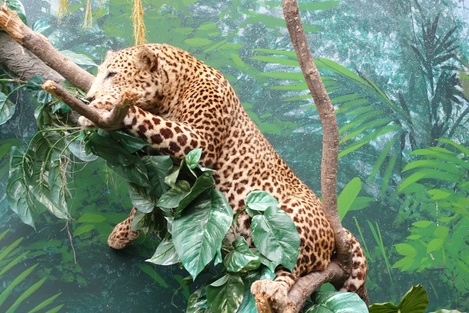 World of Discoveries - Museu Interativo & Parque Tematico