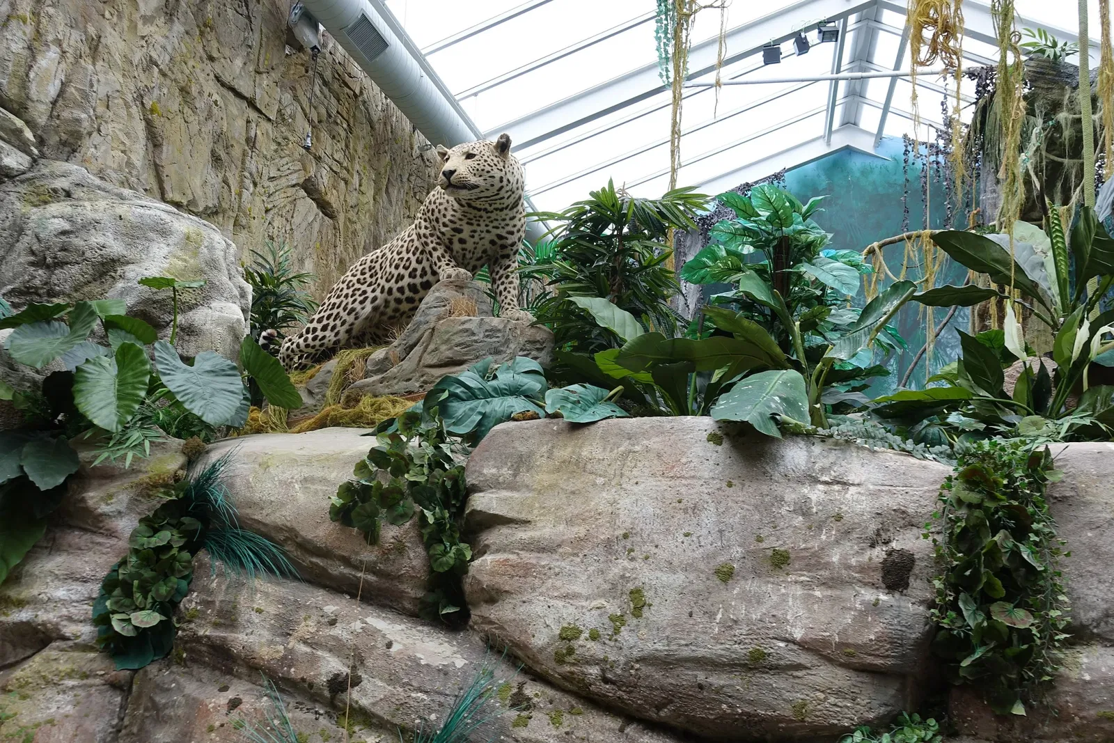 World of Discoveries - Museu Interativo & Parque Tematico