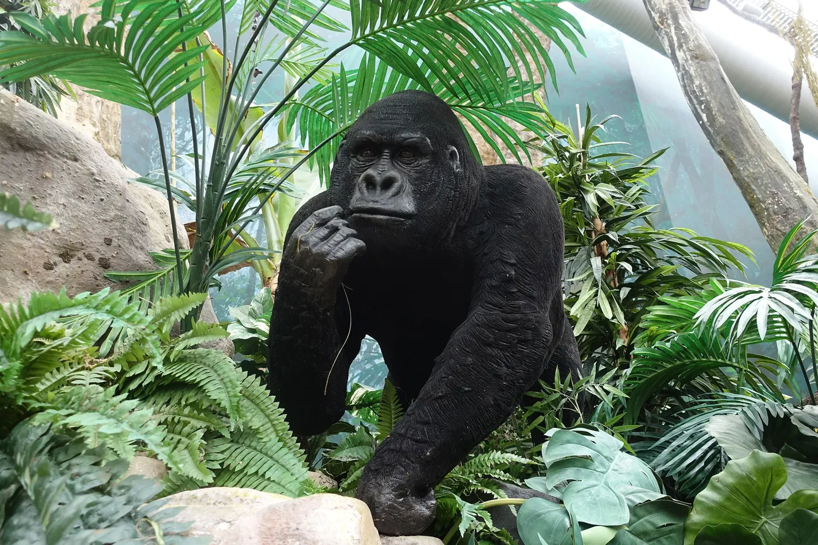 World of Discoveries - Museu Interativo & Parque Tematico