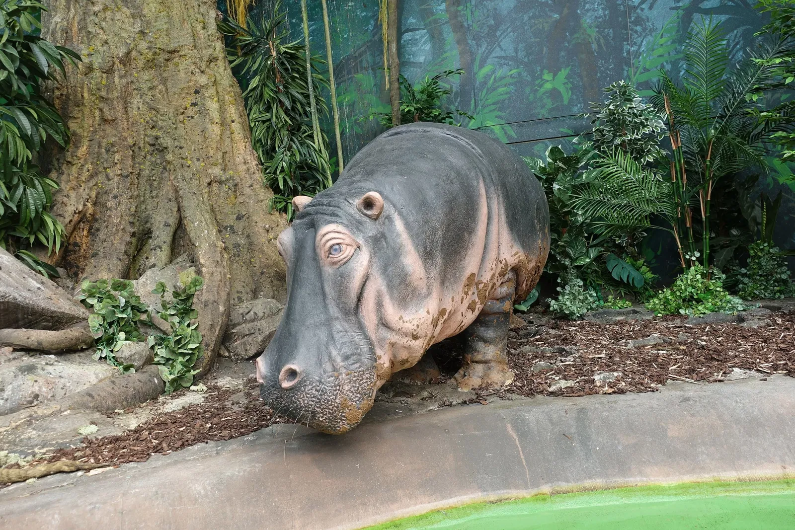 World of Discoveries - Museu Interativo & Parque Tematico