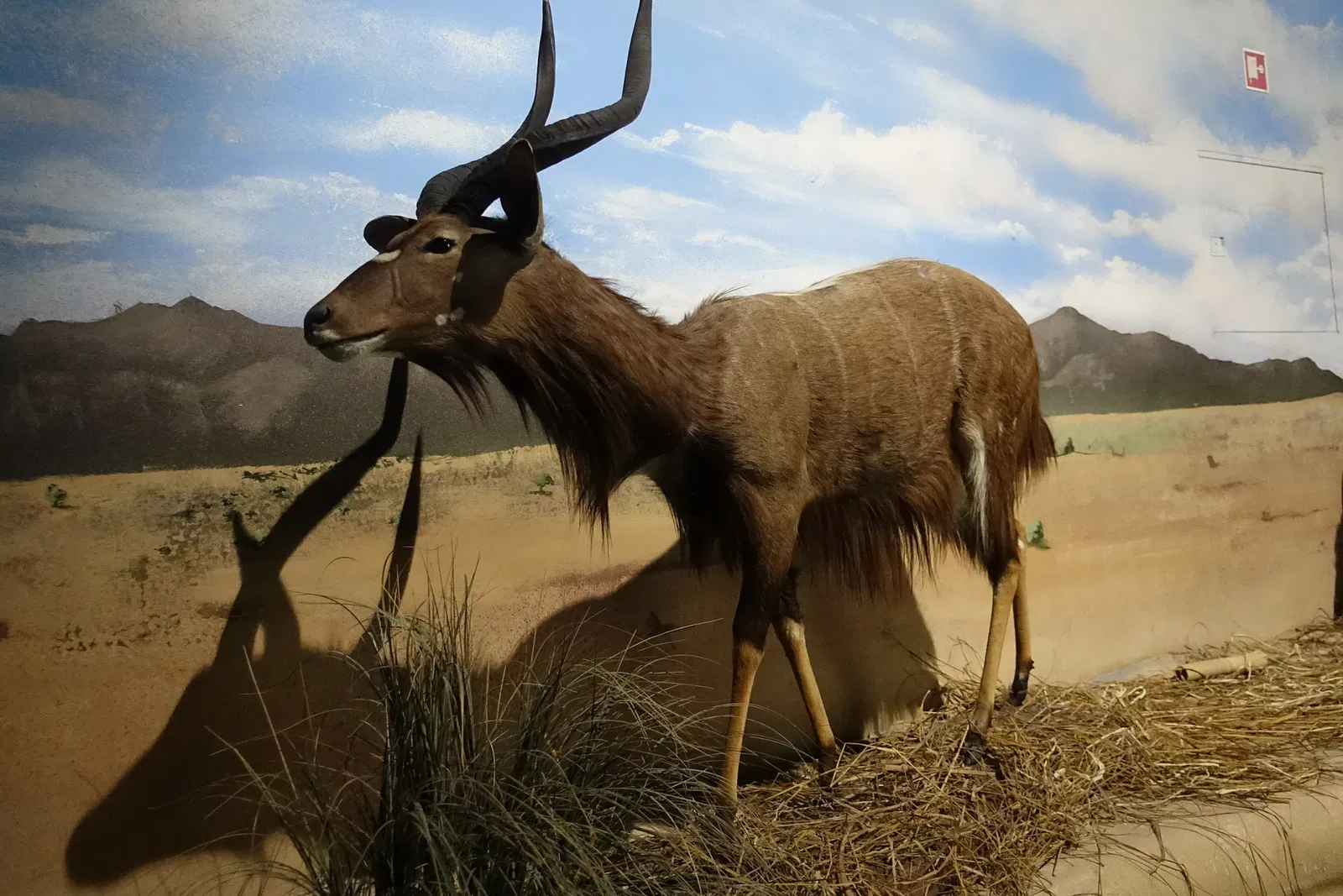 World of Discoveries - Museu Interativo & Parque Tematico