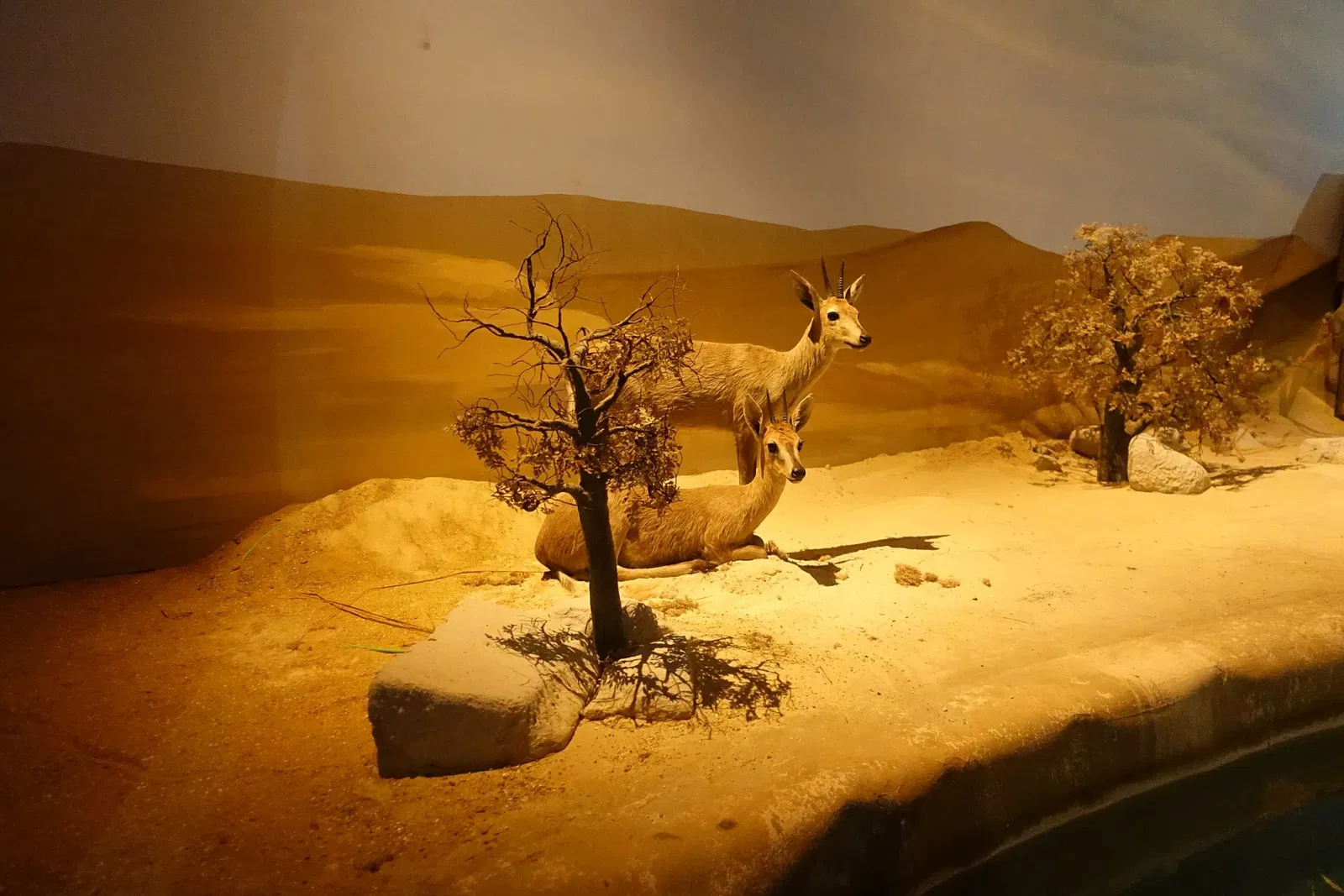 World of Discoveries - Museu Interativo & Parque Tematico