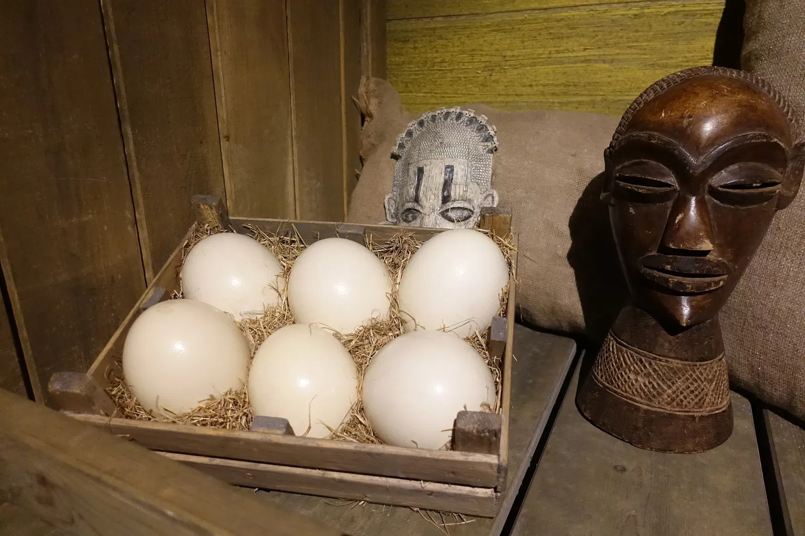 World of Discoveries - Museu Interativo & Parque Tematico