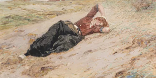 IN DUIN leven tussen duintop en duinpan