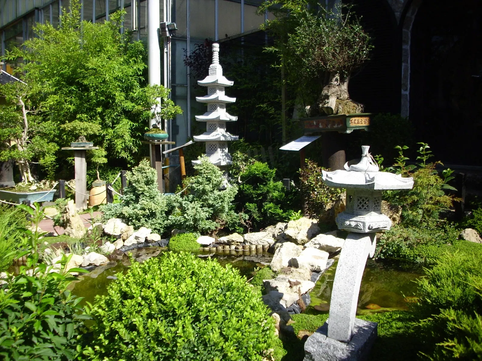 Bonsai Museum