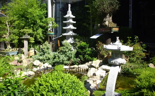 Bonsai Museum