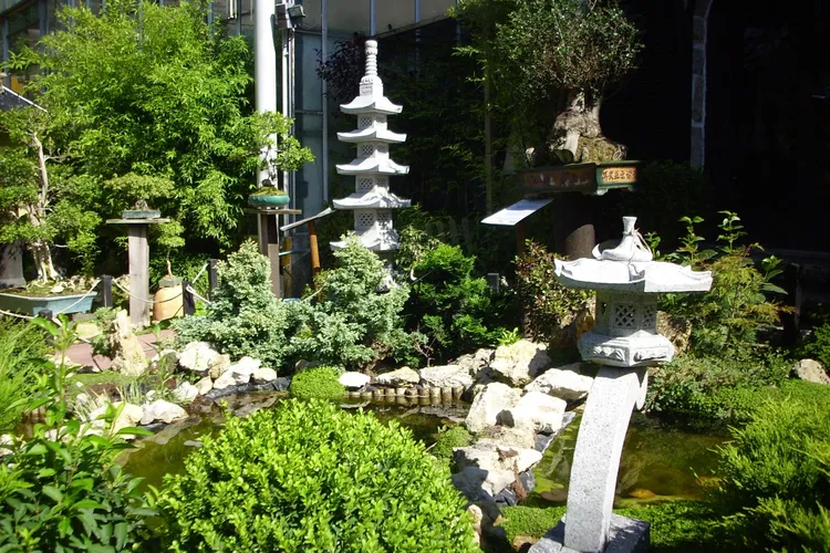 Bonsai Museum