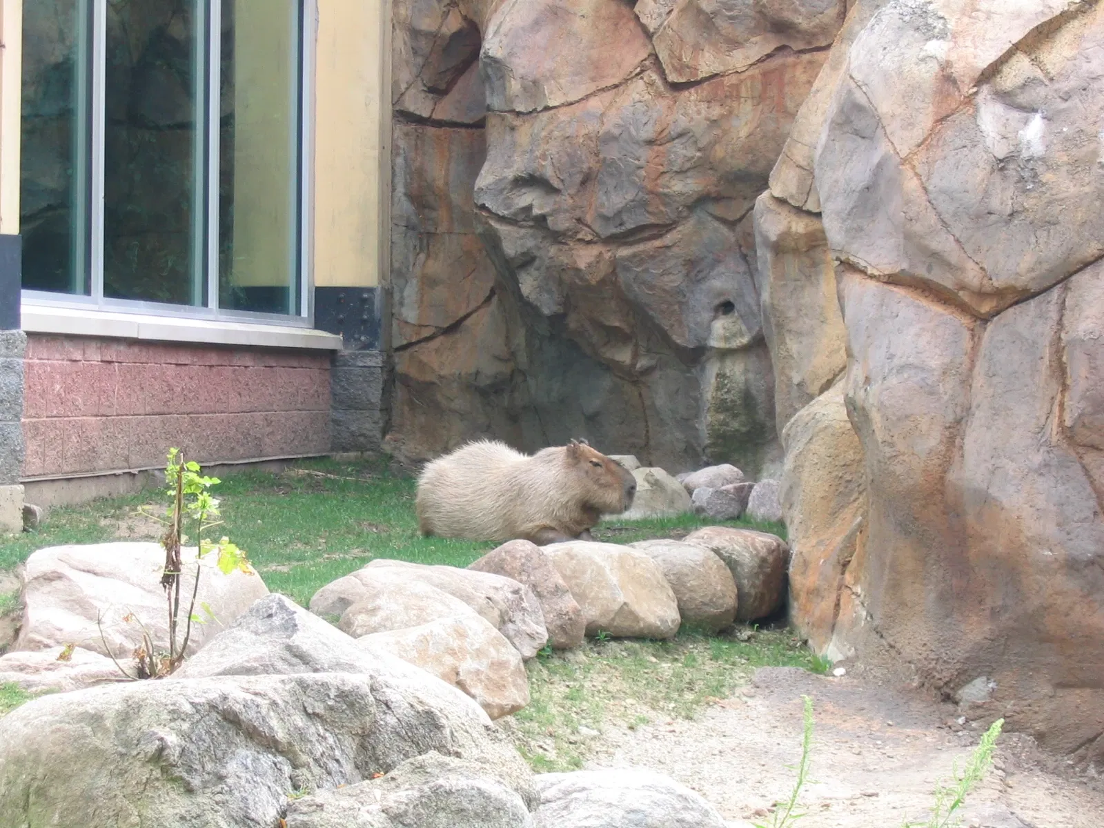 Henry Vilas Zoo