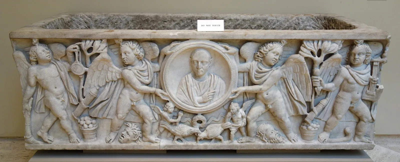 Chazen Museum of Art