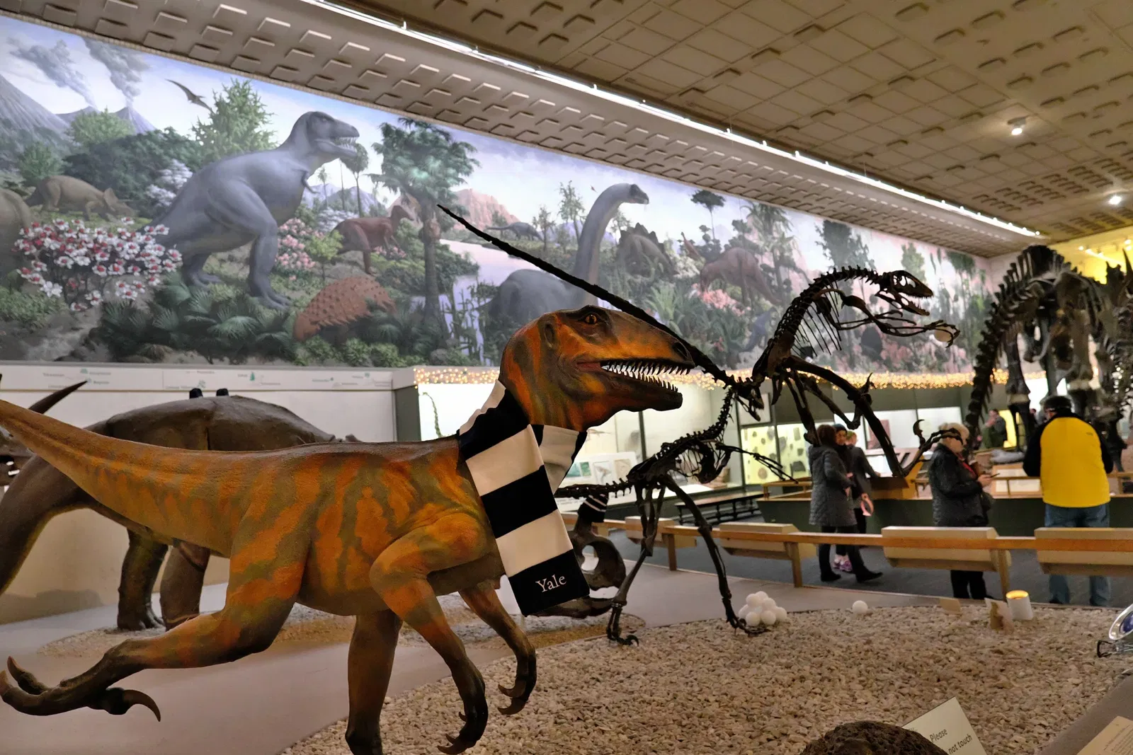 Museo Peabody de Historia Natural