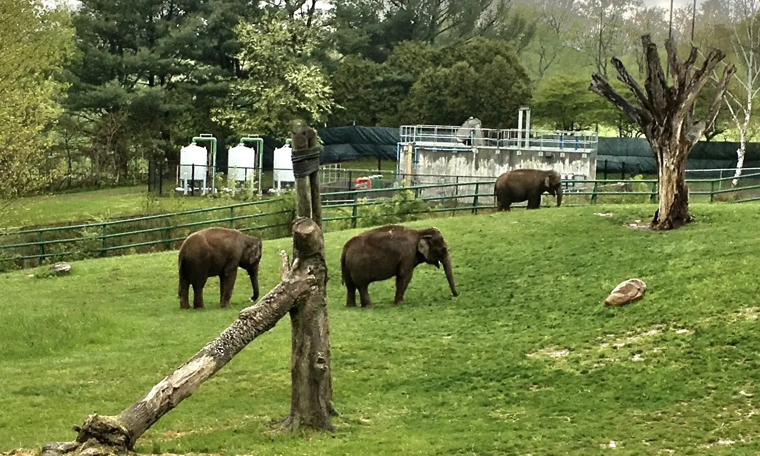 Rosamond Gifford Zoo