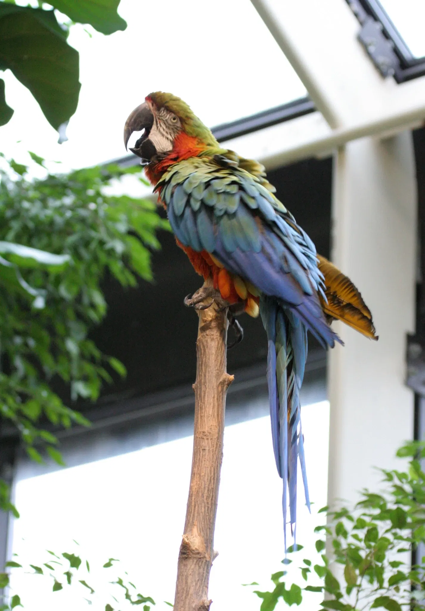 Rosamond Gifford Zoo