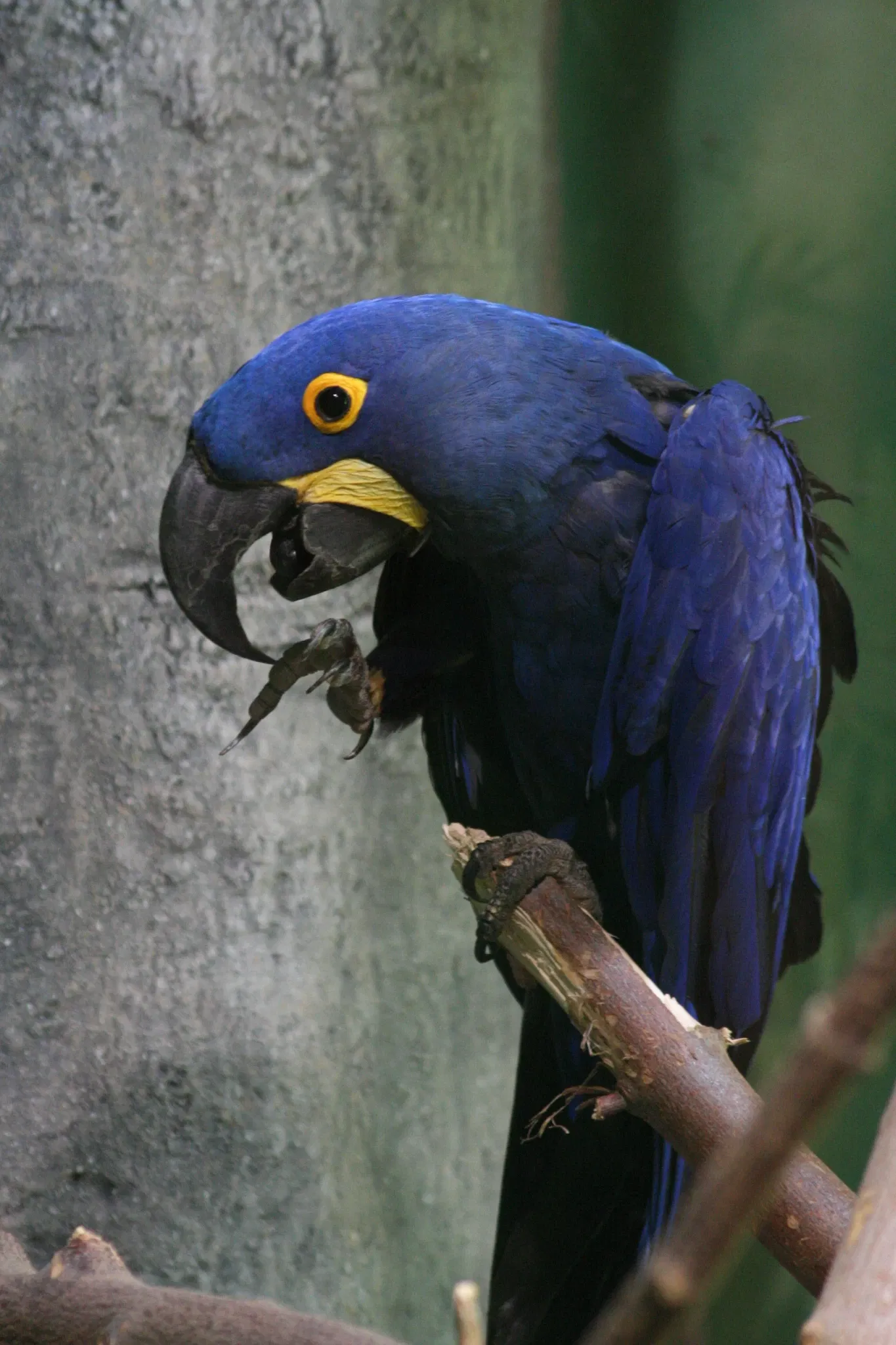 Rosamond Gifford Zoo