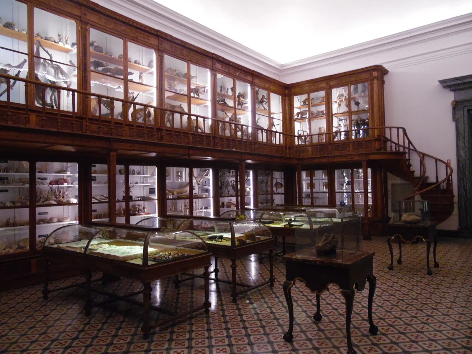 Science Museum of the University of Coimbra