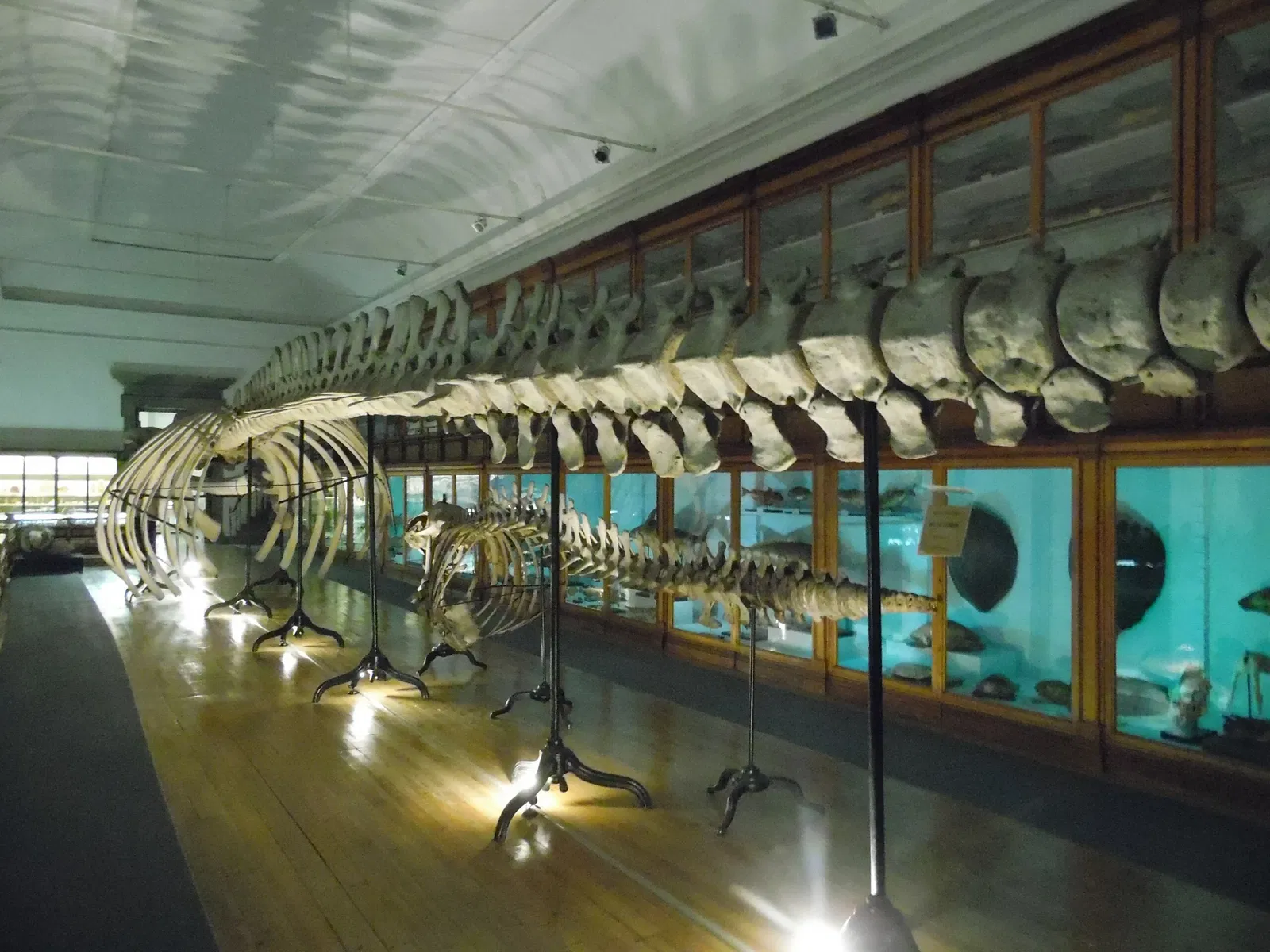 Science Museum of the University of Coimbra