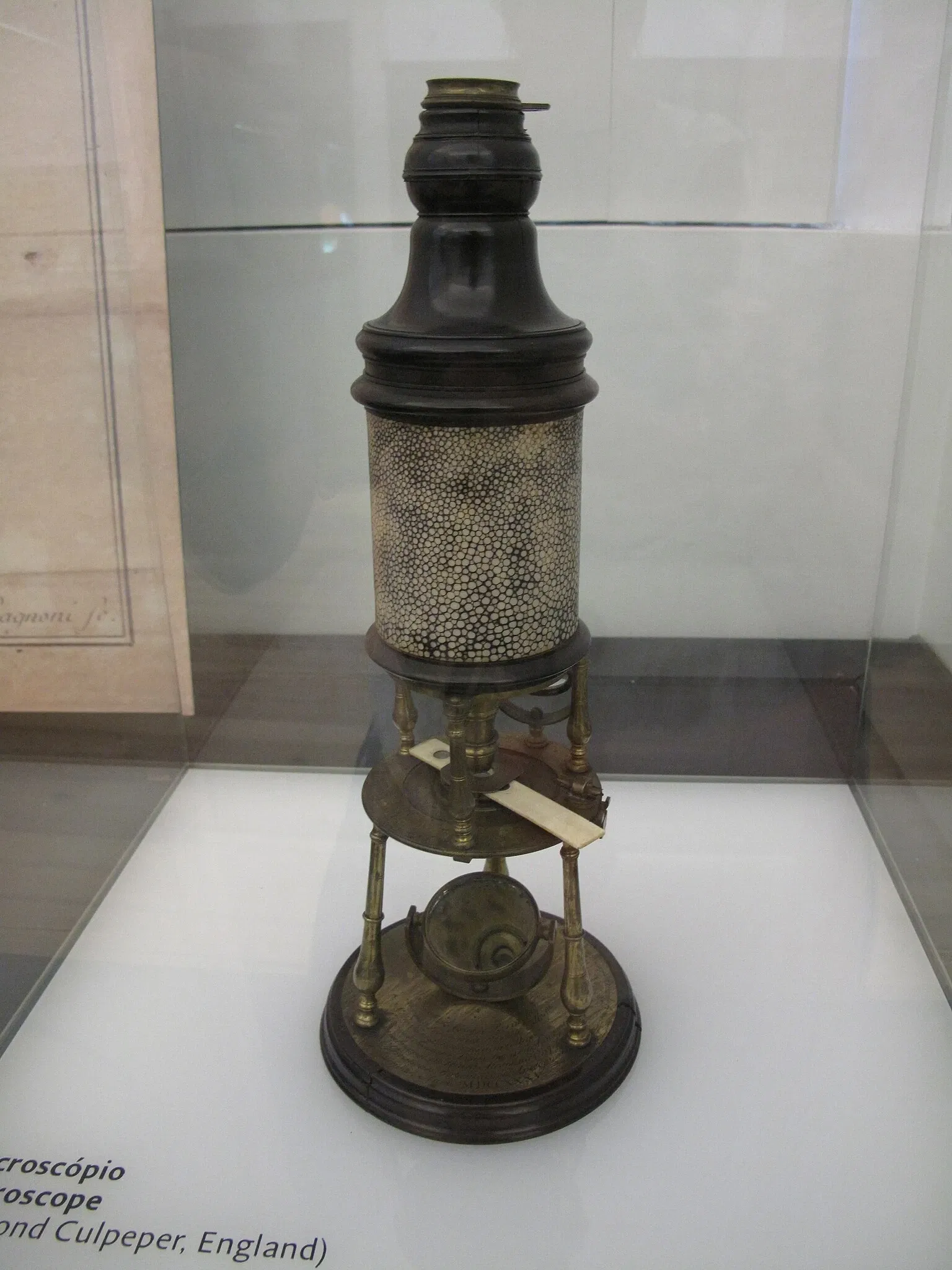 Science Museum of the University of Coimbra