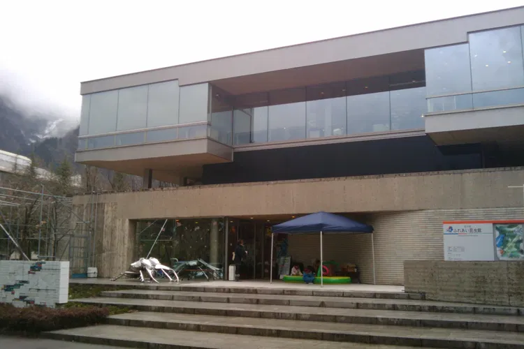 Ishikawa Insect Museum