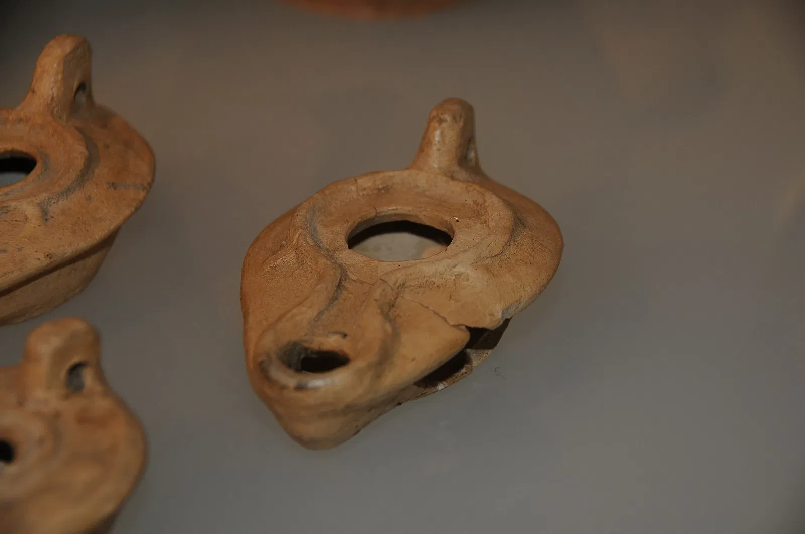 Museum of Archeology D. Diogo de Sousa