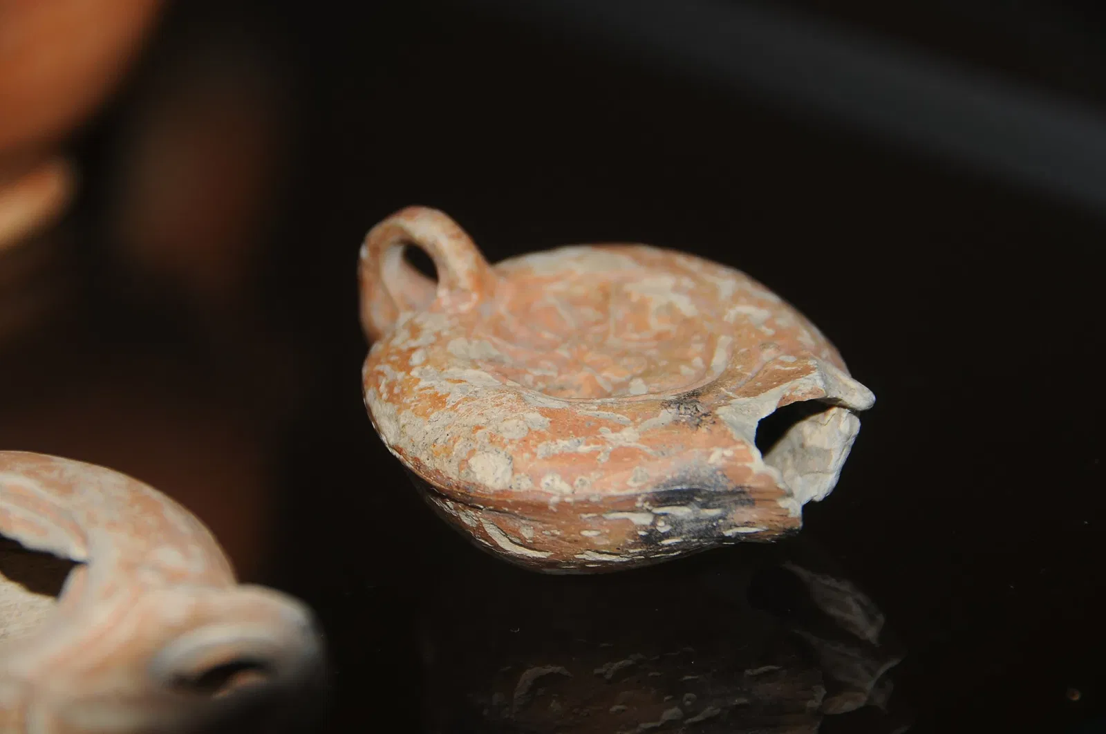 Museum of Archeology D. Diogo de Sousa