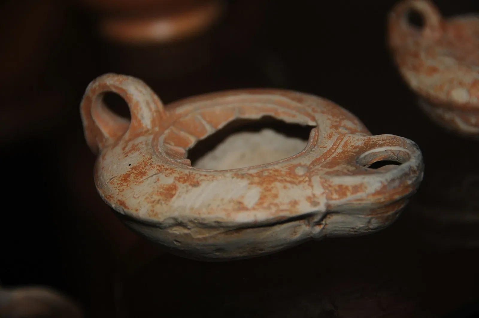 Museum of Archeology D. Diogo de Sousa