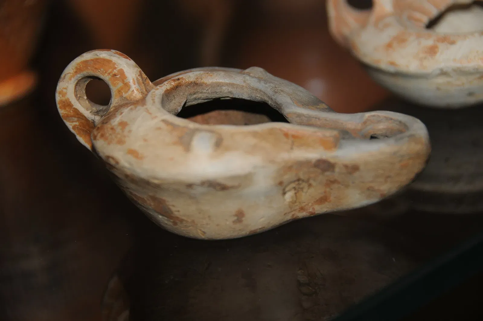 Museum of Archeology D. Diogo de Sousa