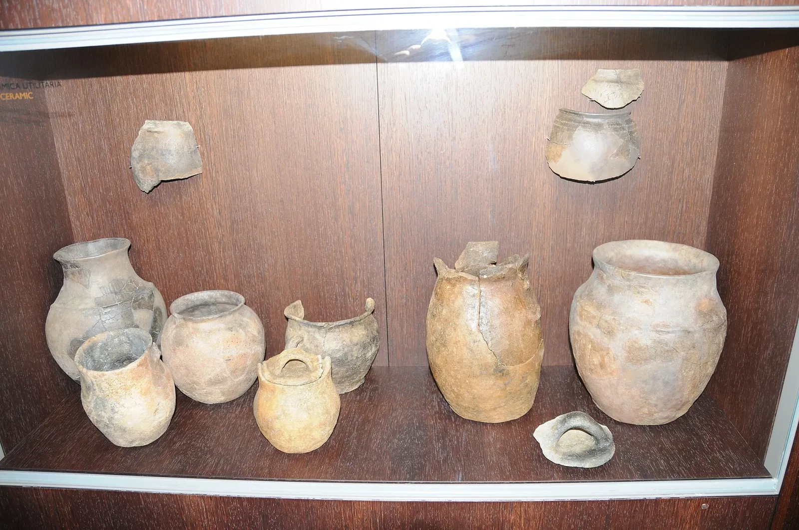 Museum of Archeology D. Diogo de Sousa