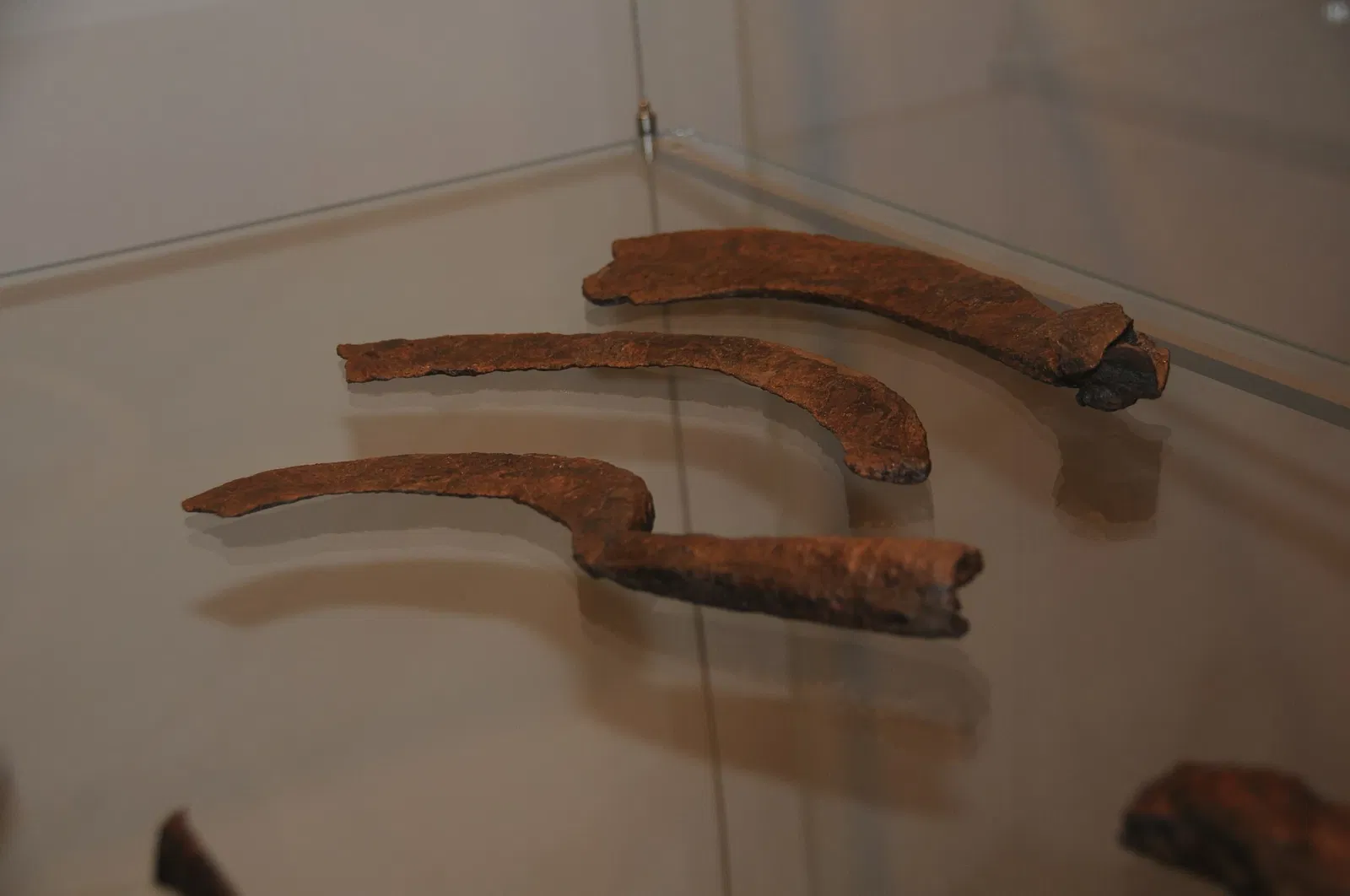 Museum of Archeology D. Diogo de Sousa