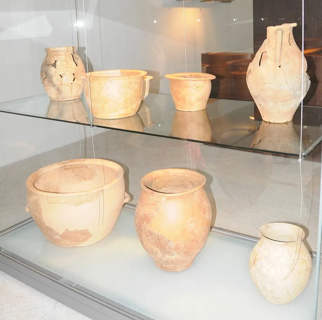 Museum of Archeology D. Diogo de Sousa