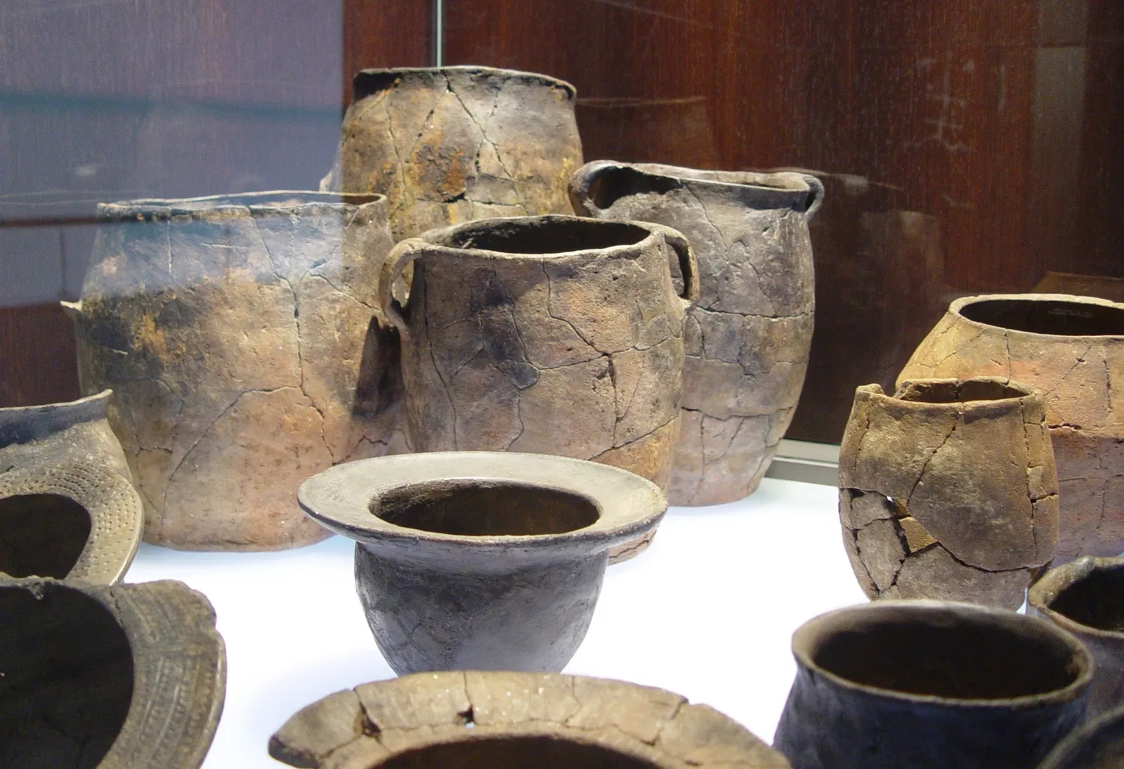 Museum of Archeology D. Diogo de Sousa