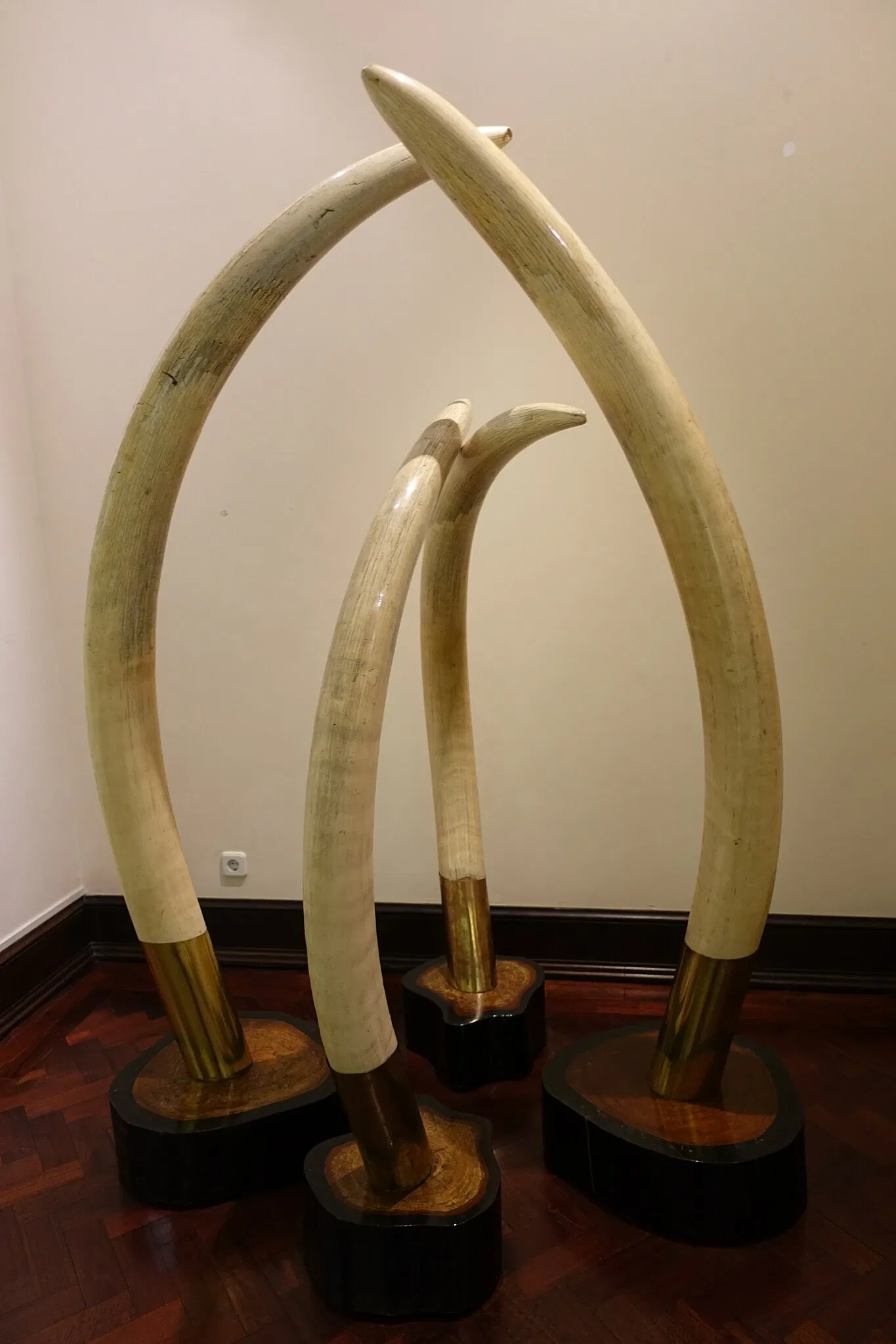 Nogueira da Silva Museum