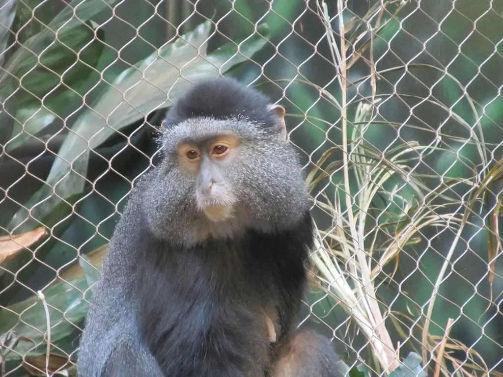 Kansas City Zoo and Aquarium