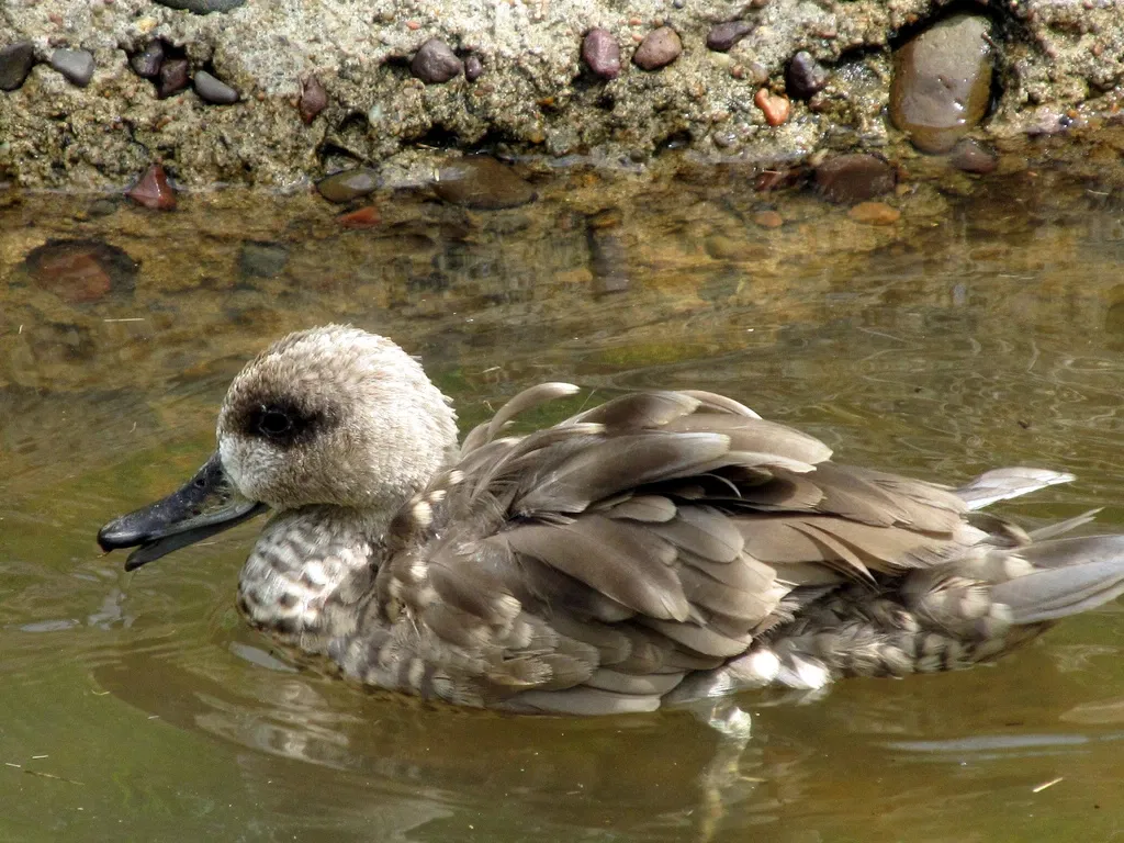 Kansas City Zoo and Aquarium