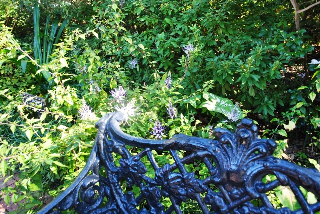 Nathaniel Russell House Museum