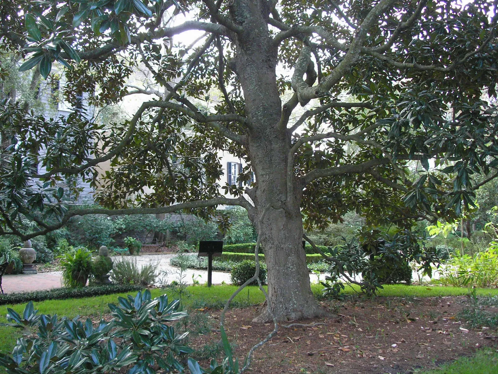 Nathaniel Russell House Museum