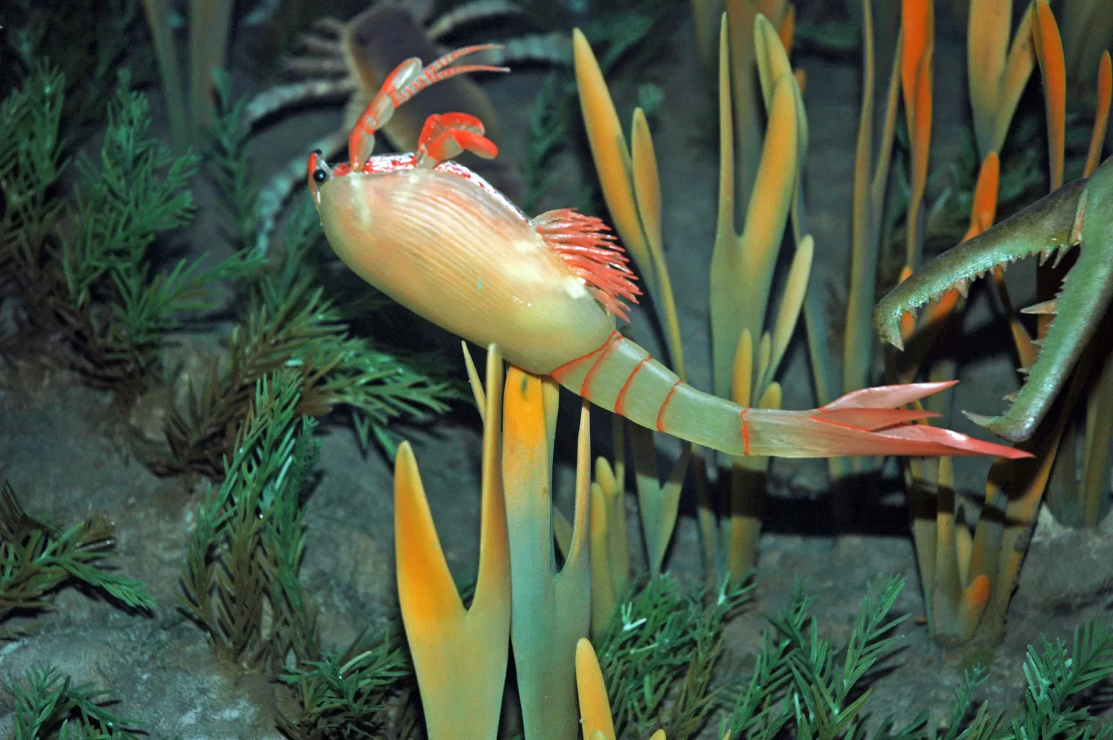 Museo Carnegie de Historia Natural