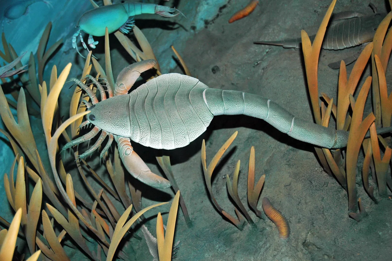 Museo Carnegie de Historia Natural