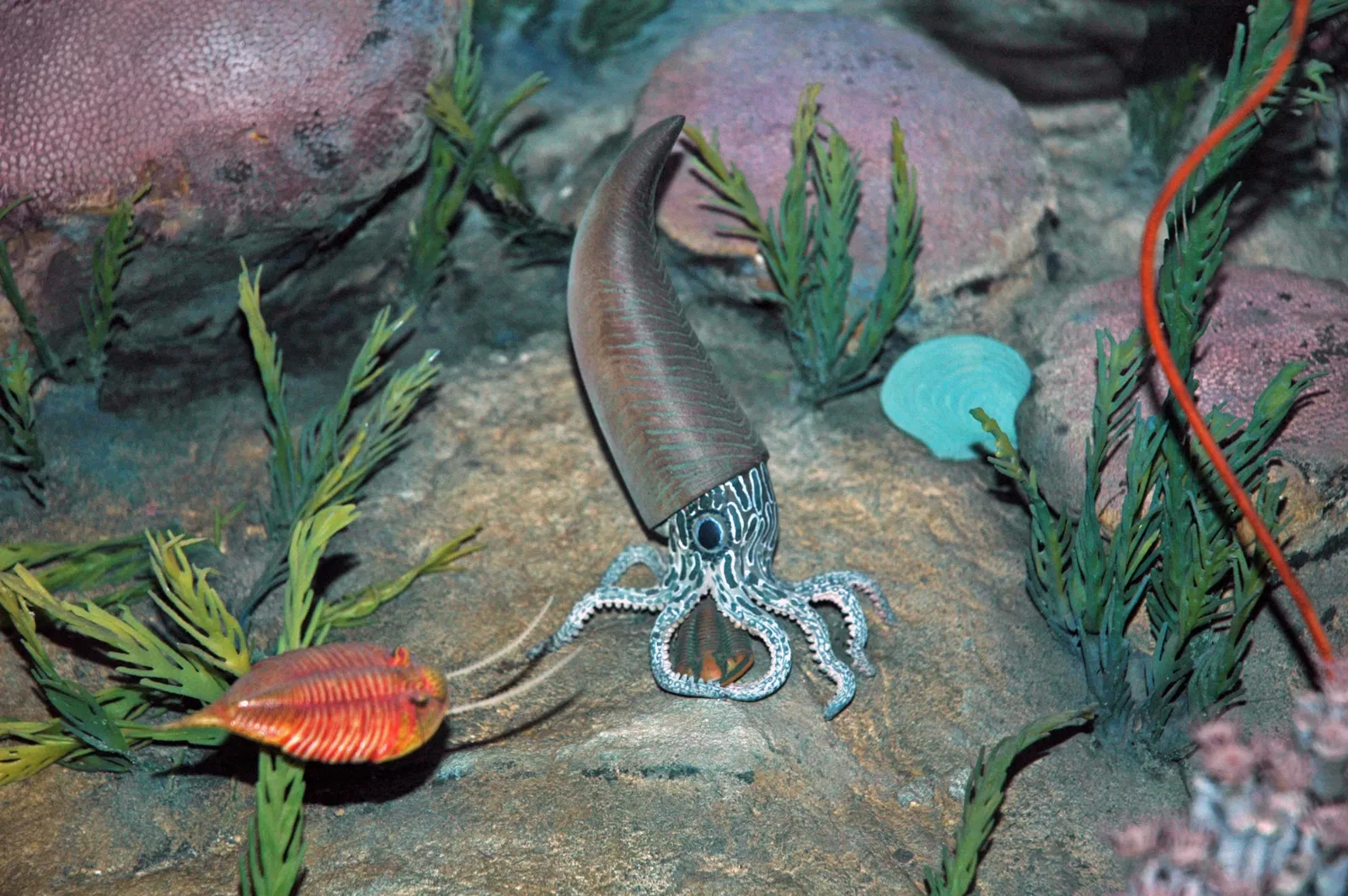 Carnegie Natural History Museum