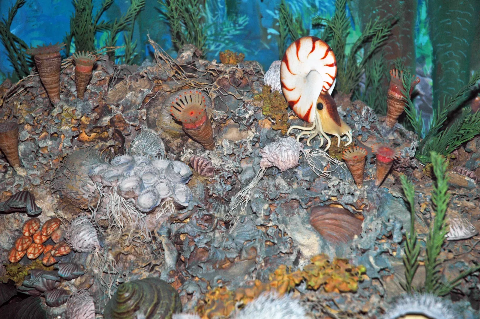 Museo Carnegie de Historia Natural