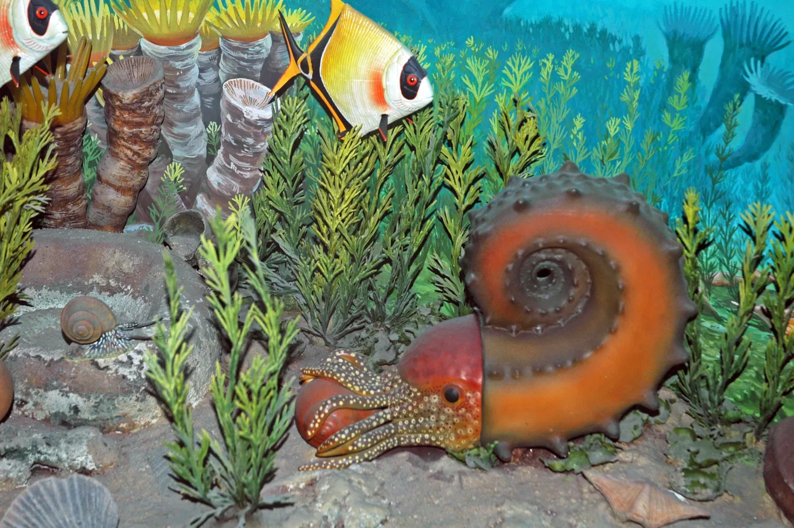 Carnegie Natural History Museum