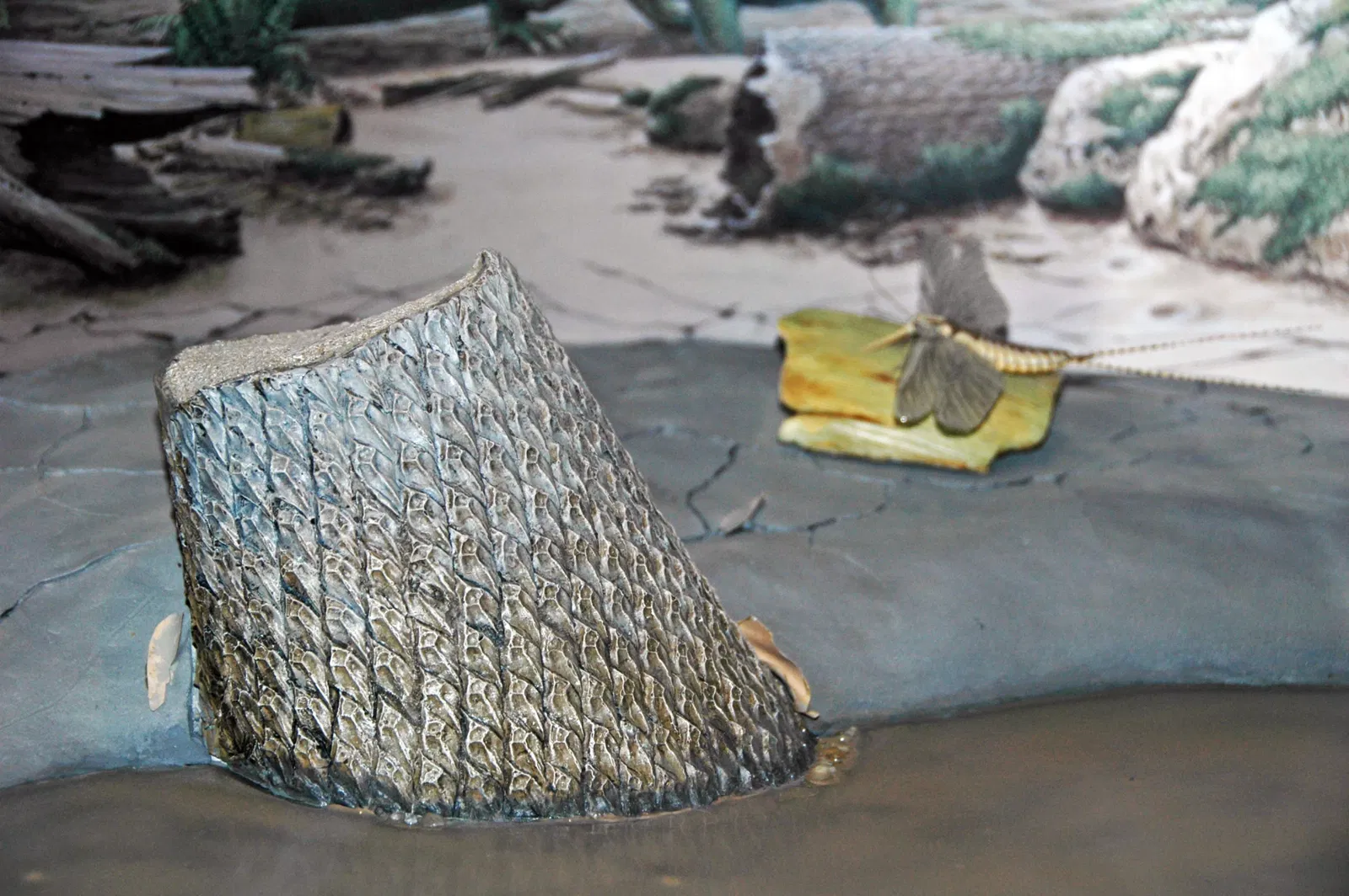 Museo Carnegie de Historia Natural