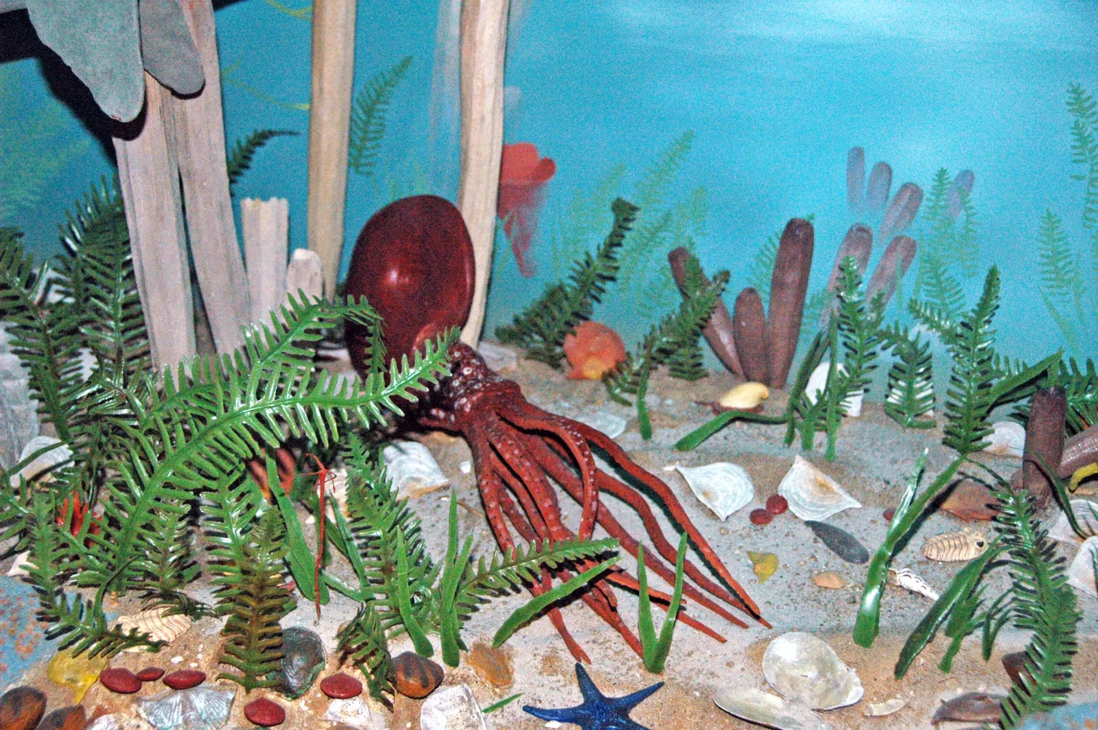 Carnegie Museum of Natural History