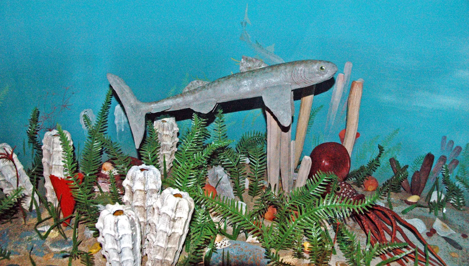 Carnegie Natural History Museum