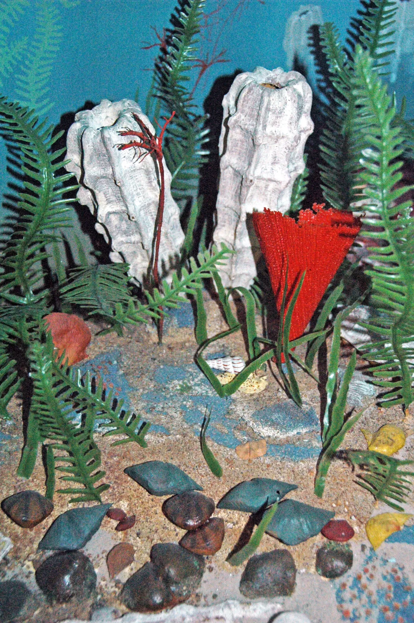 Carnegie Museum of Natural History