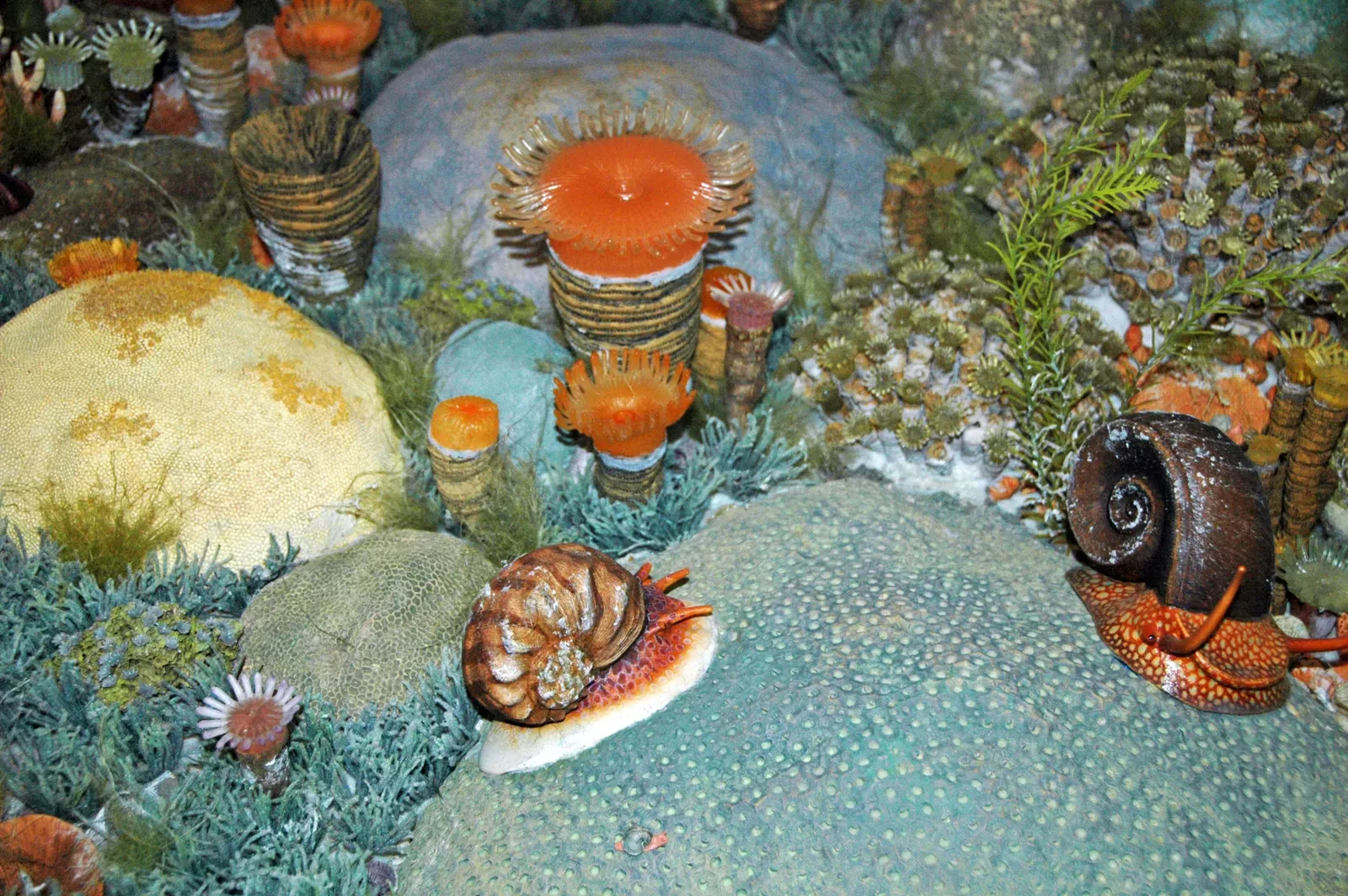 Carnegie Natural History Museum