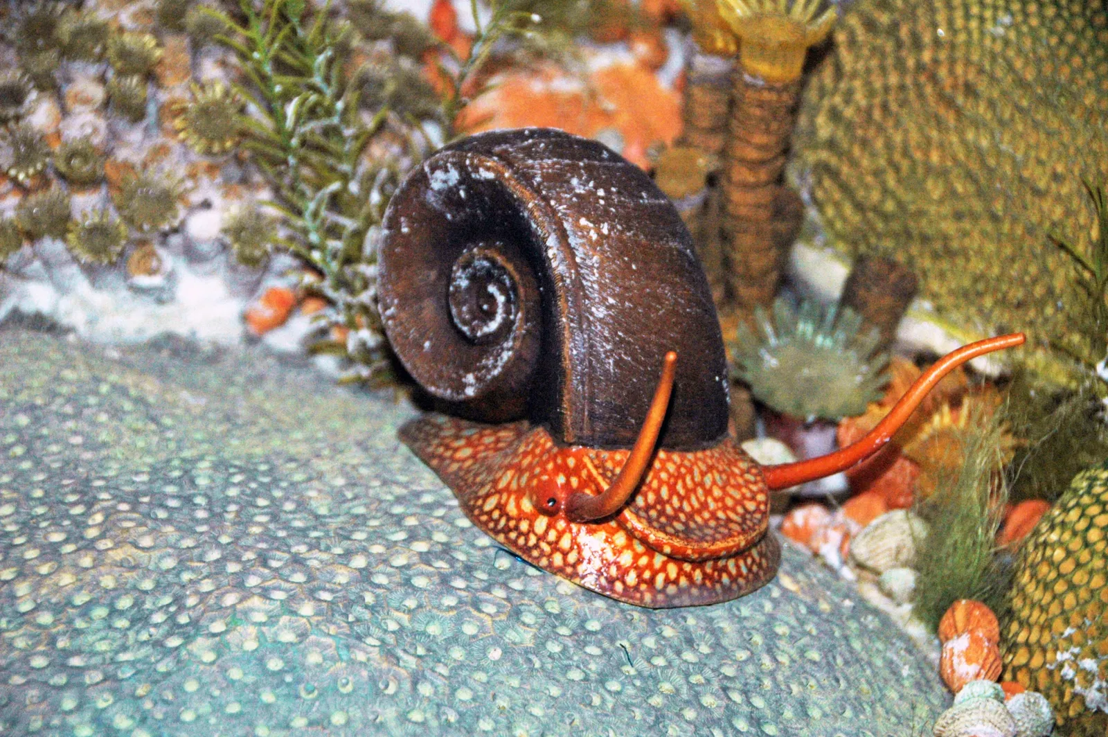 Museo Carnegie de Historia Natural