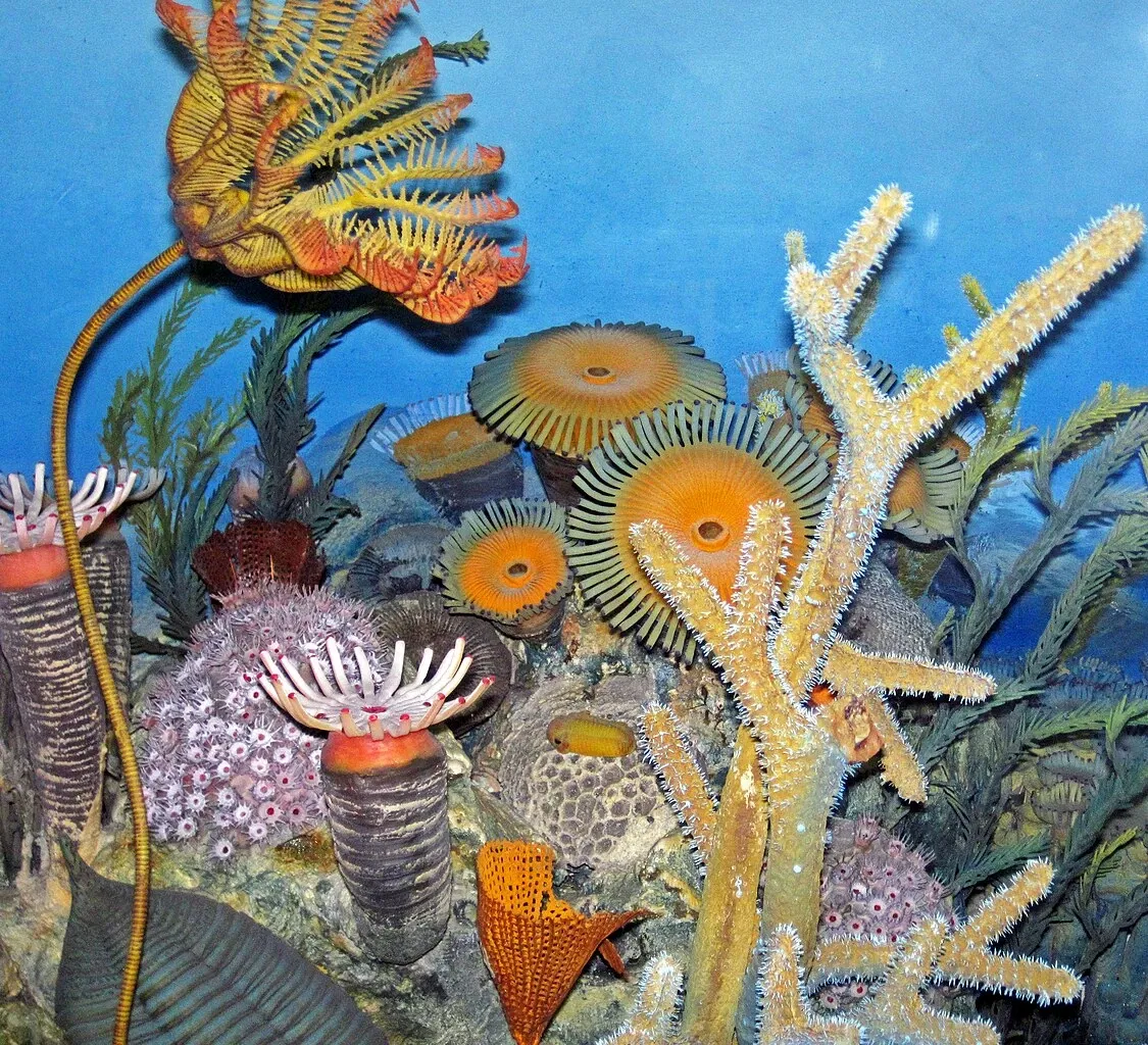 Carnegie Museum of Natural History