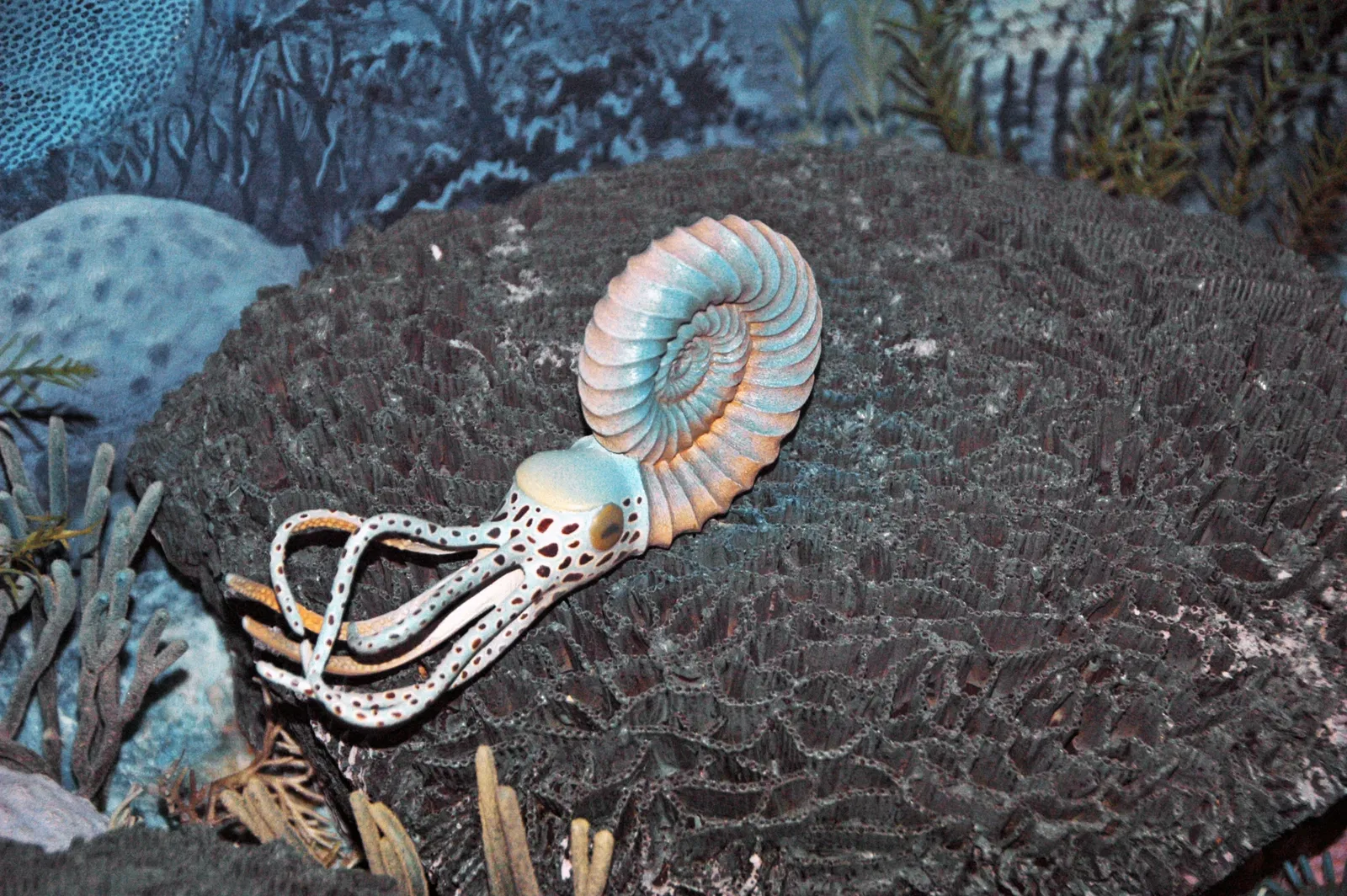 Museo Carnegie de Historia Natural